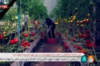 توصیه های هواشناسی کشاورزی 10 آذر 1399