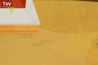 آقا معلم و بچه ها - مهم زاده‌ها