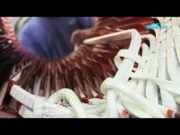 الکتروموتور ایتالیایی