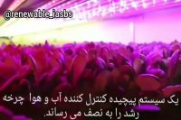 کشاورزی عمودی (پله ای)