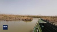 حال بد تالاب انزلی را کسی گردن نمی‌گیرد