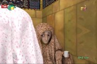 برنامه کودک خادم کوچک - کمک به بیمار