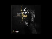 آهنگ جدید امیرعباس گلاب عرفان