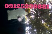 ترمیم شیشه  پولیش شیشه با دستگاه مخصوص 09125239881_ 02144145701