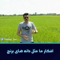 افکار ما مثل دانه های برنج هستند: امیر حسین حقیقی