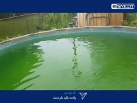 تاثیر فوق العاده پودر کلر بر استخر ها