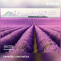 طرح توجیهی کشت گیاهان دارویی و فرآوری