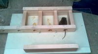 How small a hole can a mouse get through?  Experiments.