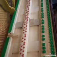 کارشناس فنی پیانو استاد مانی کوشا 09125633895