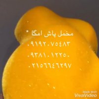 مخمل پاش پودر مخمل 09381012250