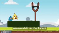 Angry birds
