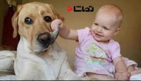 وقتی حیوانات کودکان را می خندونن - بخش 1