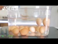 آموزش آشپزی و ترفندهای کاربردی اشپزی-تاریخ تخم مرغ