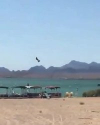 فلای بورد با تسلط بالا