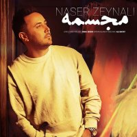 آهنگ مجسمه ناصر زینعلی