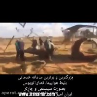 وقتی برای جابجايی شيرجنگل از داروی بيهوشی چينی استفاده میشه:))