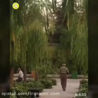 فیلمی از روپایی زدن یه پیرمرد ایرانی که تو پیج 433 هم پخش شده