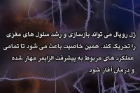ژل رویال و درمان انواع بیماری های مغز و اعصاب