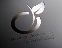 قیمت انواع سیب درختی قرمز صادراتی