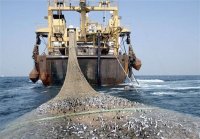 دستور رئیس جمهور برای جلوگیری از صید ترال