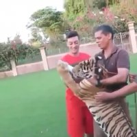 حیوان خانگی " مسوت اوزیل "