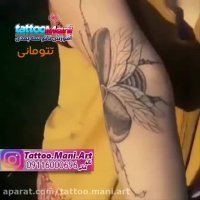 تمرین تتو حشره روی ساعد