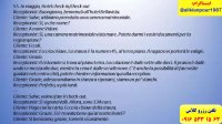 آموزش 100 % تضمینی مکالمه ایتالیایی و آزمون استرنی در در اهواز- استاد علی کیانپور