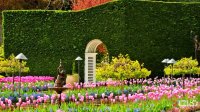 باغ گل زیبا در کانادا