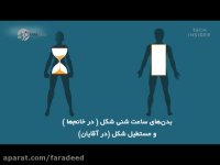 شکل بدن شما چه اطلاعاتی راجع به سلامتی می دهد؟