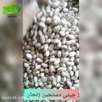 فروش لوبیا چیتی دستچین زنجان