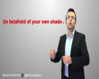 معنی اصطلاح to be afraid of your own shadow