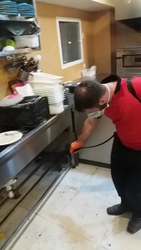 سمپاشی سوسک ریز در رستوران تضمینی