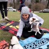 سیزده بدرتون به در شده باشه، امیدوارم اون از خدا بی خبر حیوان آزار هر چه زودتر معرفی بشه