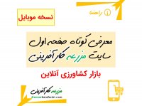 معرفی کوتاه صفحه اول سایت بازار کشاورزی آنلاین مزرعه کارآفرینی