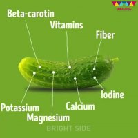 ⁣چرا باید خیار را در رژیم غذایی خود قرار دهیم؟