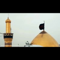 علیرضا نجاری