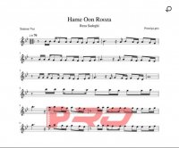 نت سنتور همه اون روزا رضا صادقی