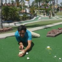 خلاقیت زچ کینگ - جوجه مرغ