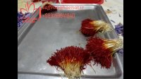 فروش کیلویی زعفران صادراتی درجه یک