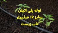 لوله پلی اتیلن سایز 16 میلیمتر