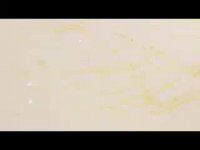 سفری به درون کهکشان اندرومدا