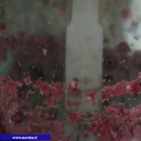 سبزی خرد کن مانی لوکس مدل نورشا