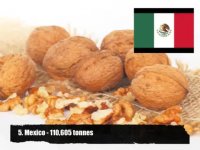 مجموعه تولیدی و نهالستان سعید قاسمی