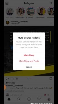 چطور بدون آنفالو کردن پست و استوری بعضی‌ها رو نبینیم؟