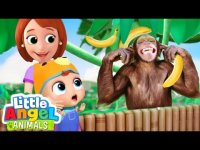 کارتن کودکانه فرشته کوچولو : گردش در باغ وحش و آشنایی با حیوانات جنگل