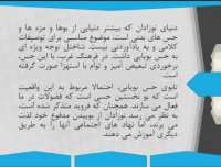 پاورپوینت شاختل و تجربه های دوران کودکی