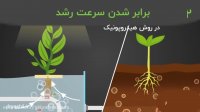 آموزش کاربردی کشت هیدروپونیک در خانه