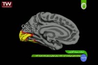 مستند پروژه آلزایمر - 5-2016-07-26 