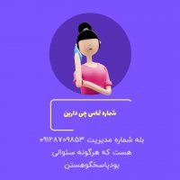 نظم دهنده کشوآرشه