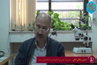 علت و چرایی هجوم ملخ های صحرایی به ایران  از منظر اساتید دانشگاه فردوسی مشهد